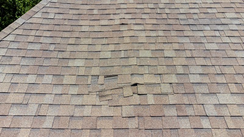 Asphalt Roof Inspection in Jefferson, OH