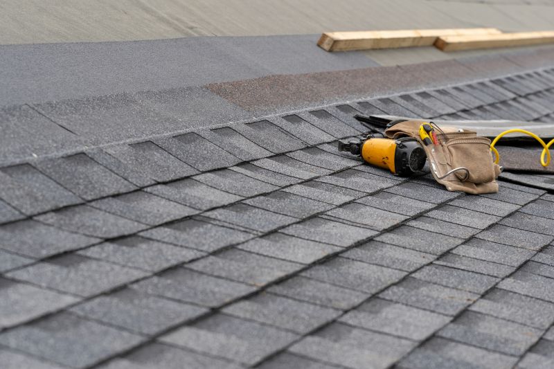 Asphalt Roof Repair in Madison, OH