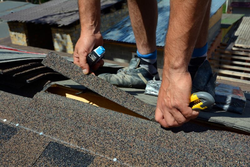 Asphalt Roof Repair in Perry, OH