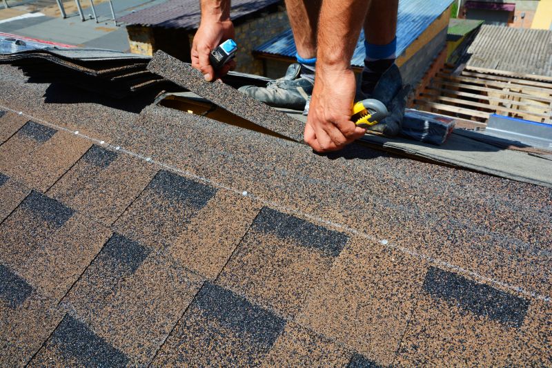 Asphalt Roof Repair in Perry, OH