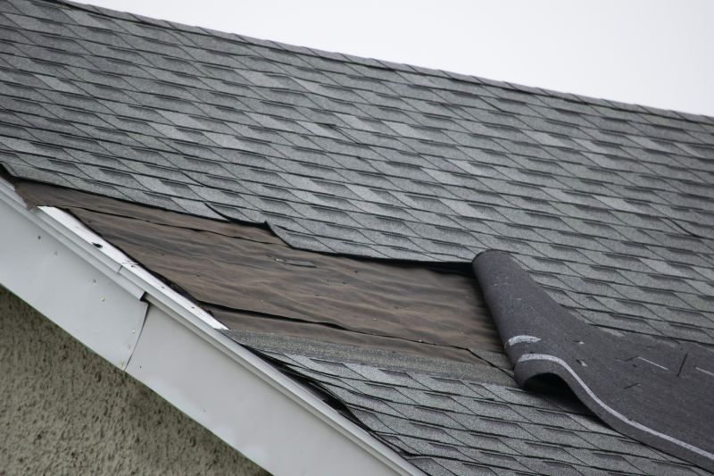 Asphalt Shingles Repair in Ashtabula County, OH