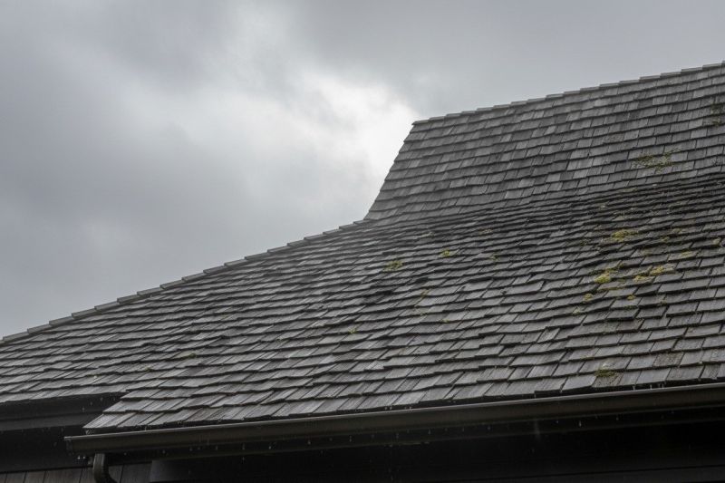 Cedar Roof Replacement in Rome, OH
