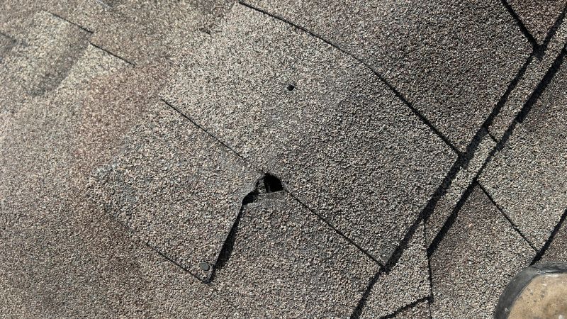 Damaged Roof Repair in Madison, OH
