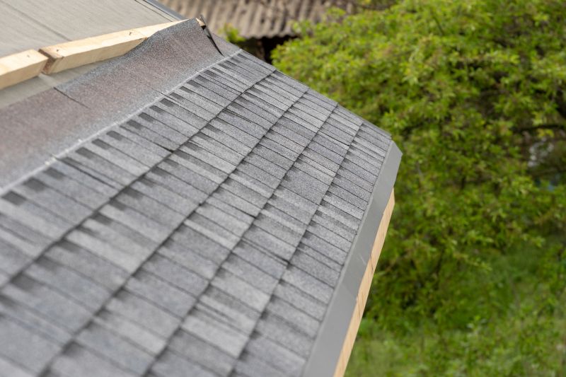 Damaged Roof Repair in Perry, OH