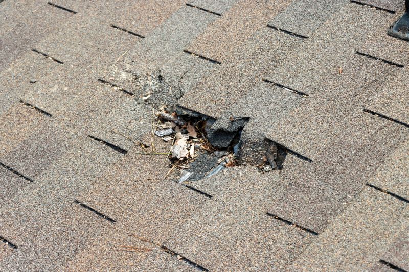 Damaged Roof Replacement in Madison, OH