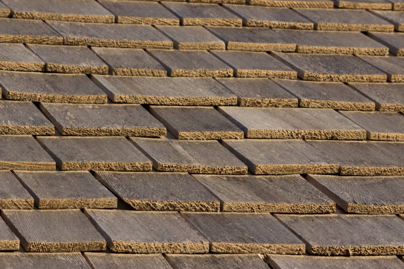 Shake Shingle Repair in Ashtabula County, OH