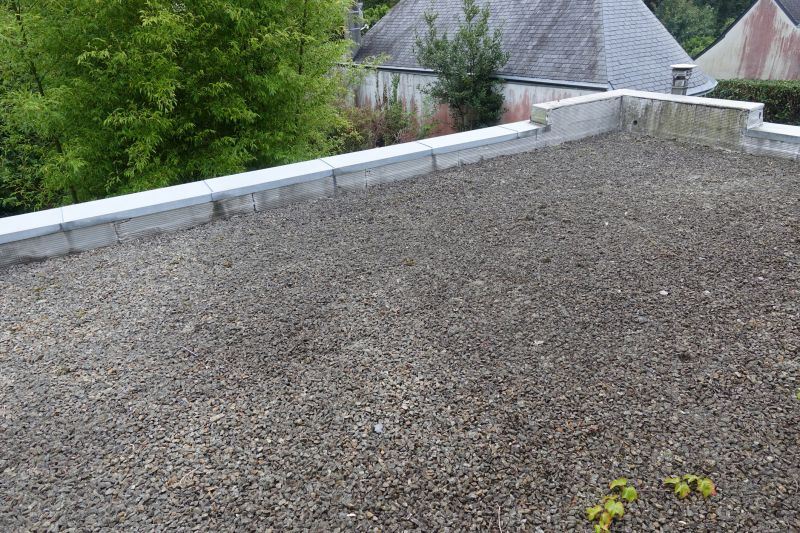 Tar And Gravel Roof Repair in Andover, OH