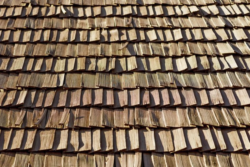 Wood Shake Roof Replacement in Geneva, OH