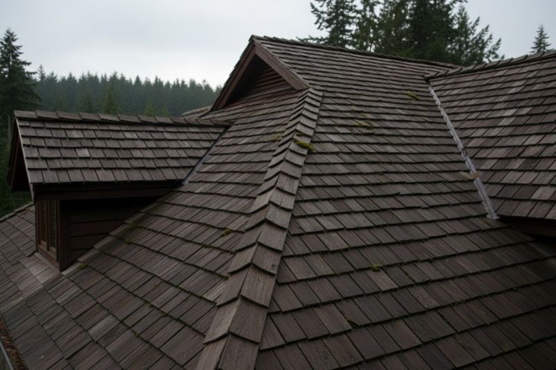 Wood Shake Roof Replacement in Madison, OH